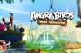 Angry Birds Under Pigstruction