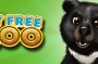 My Free Zoo Уссурийский медведь